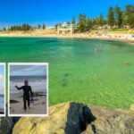 An image of North Cottesloe Beach, Perth, with inset pictures of Swimin12 EVO Tribe coach Eric preparing to swim in the ocean there